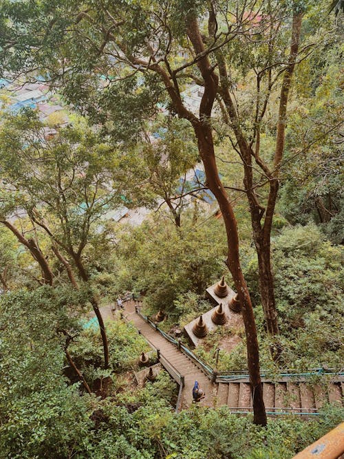 Stairs in Park with Green Trees