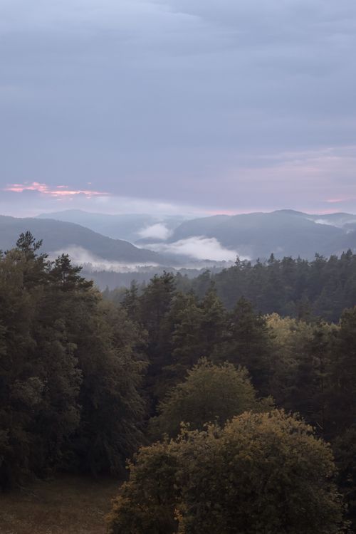 Free A peaceful view of mist enveloping a forest in Bavaria, Germany with distant mountains. Stock Photo
