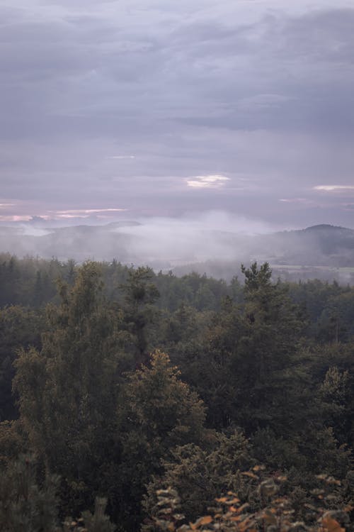 Foto d'estoc gratuïta de Alemanya, bayern, boira