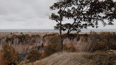 六一儿童节语句大全 六一儿童节语句大全简短