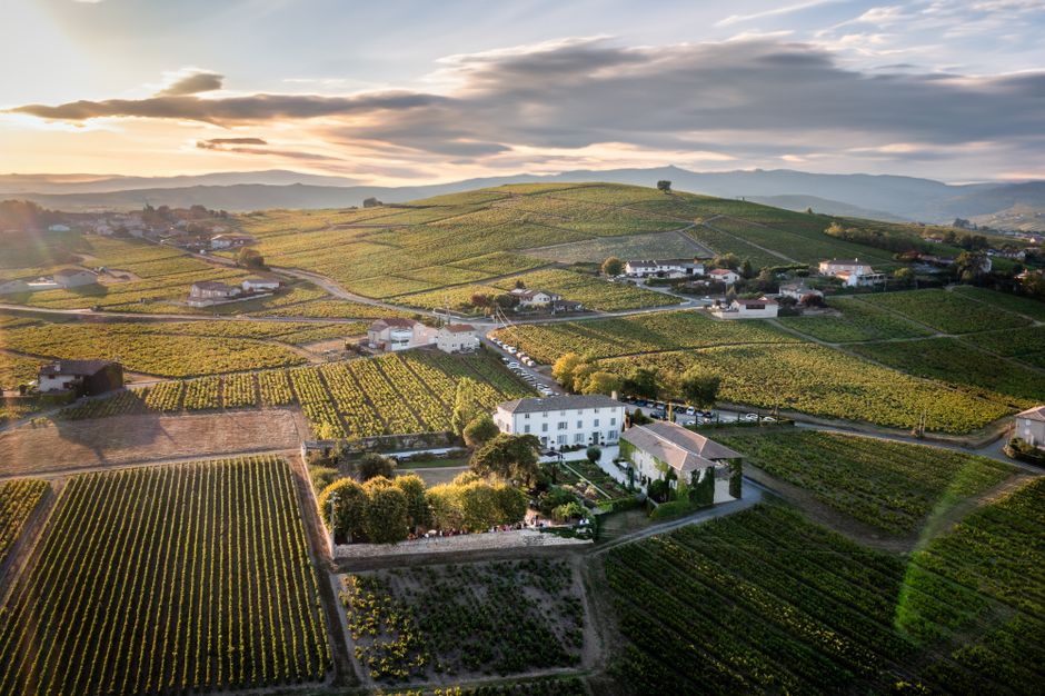 The Spectator Announces Beaujolais Nouveau Lunch Event for 2026