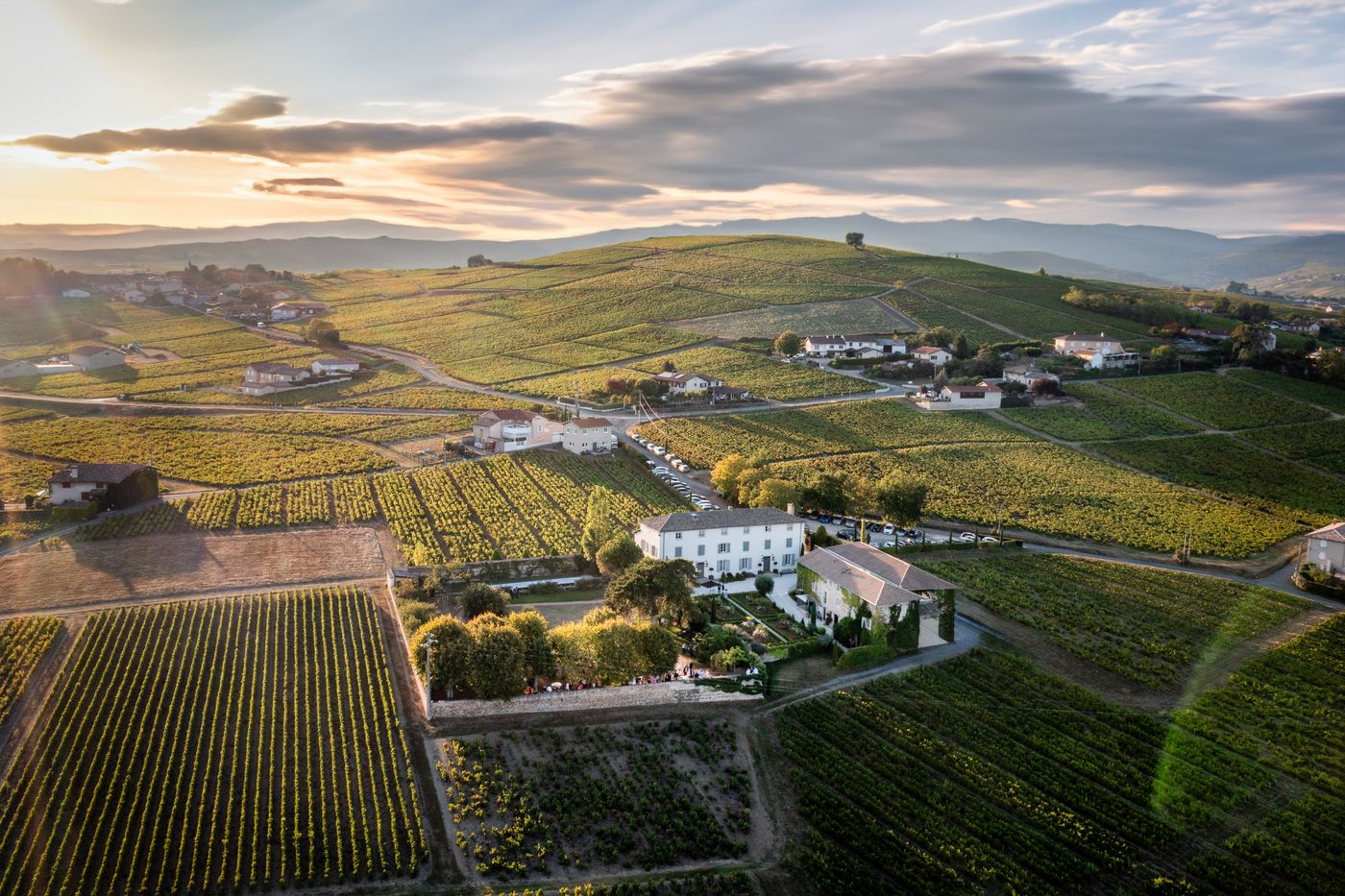 A Burgundy grand cru wine estate among the vines