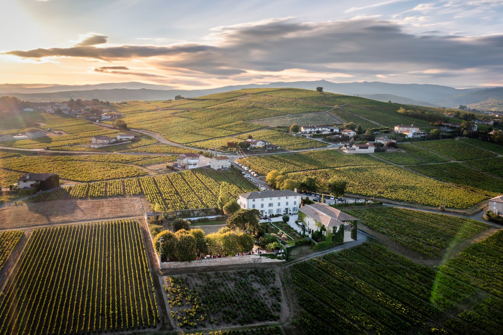 Golden-hour aerial over the vineyard patchwork of Burgundy