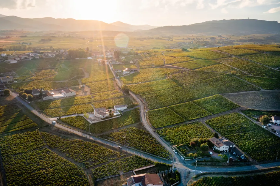 Beaujolais Wine Region