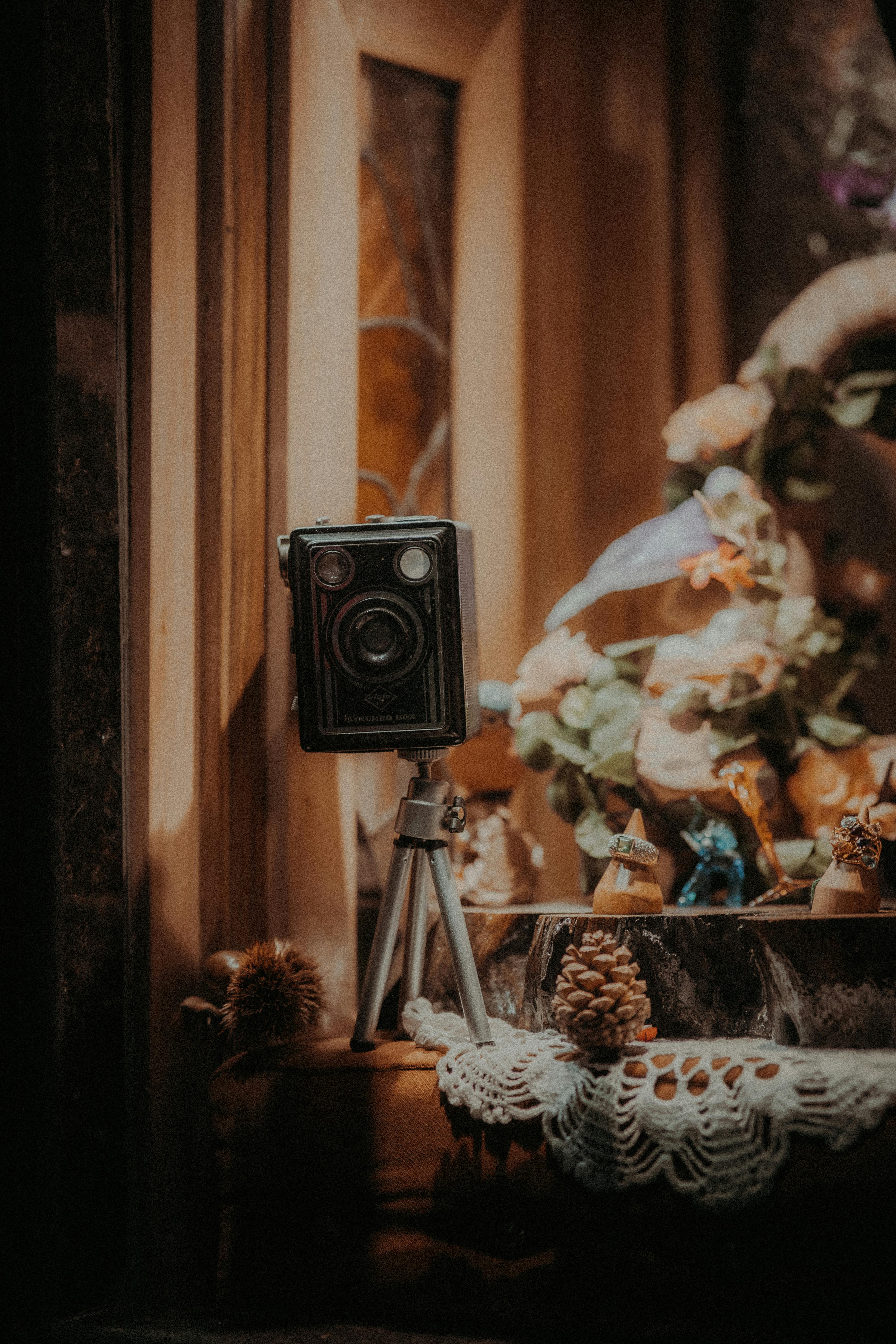 A retro camera on a tripod amidst pine cones and decorations on a windowsill.