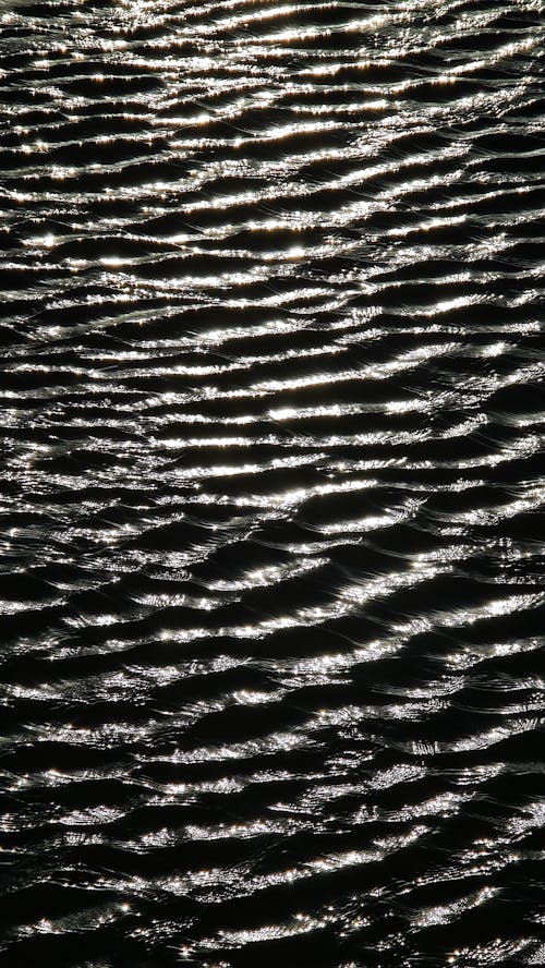 Black and White Photo of Water Surface 