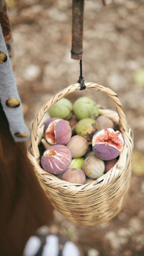 Fruit in Basket