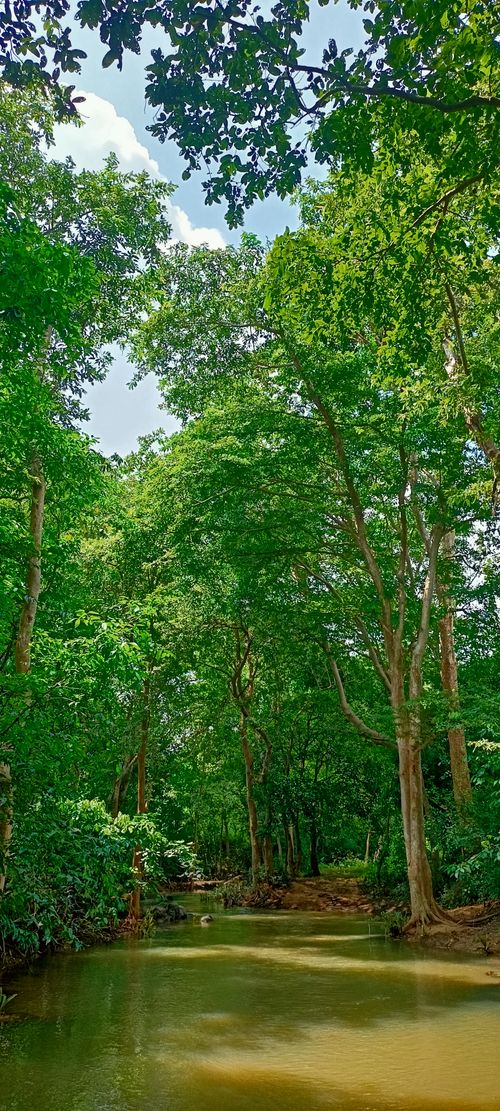 Free Beauty of nature  Stock Photo