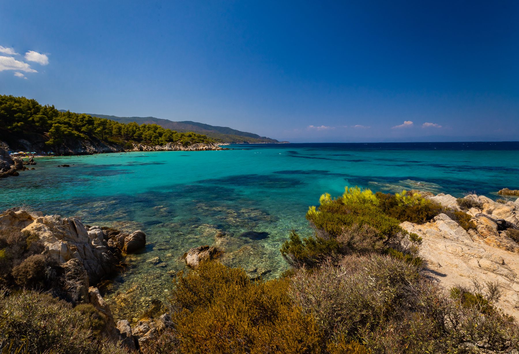 Grüne Küste und tiefblaues Wasser auf Skopelos