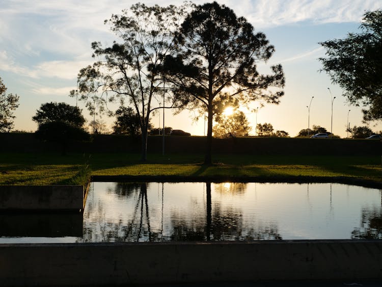 Water Pond In Garden At Sunset