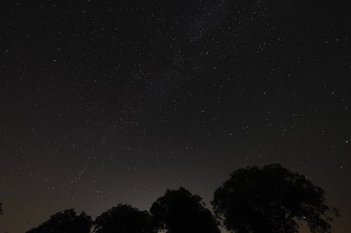 ağaçlar, astronomi, gece içeren Ücretsiz stok fotoğraf