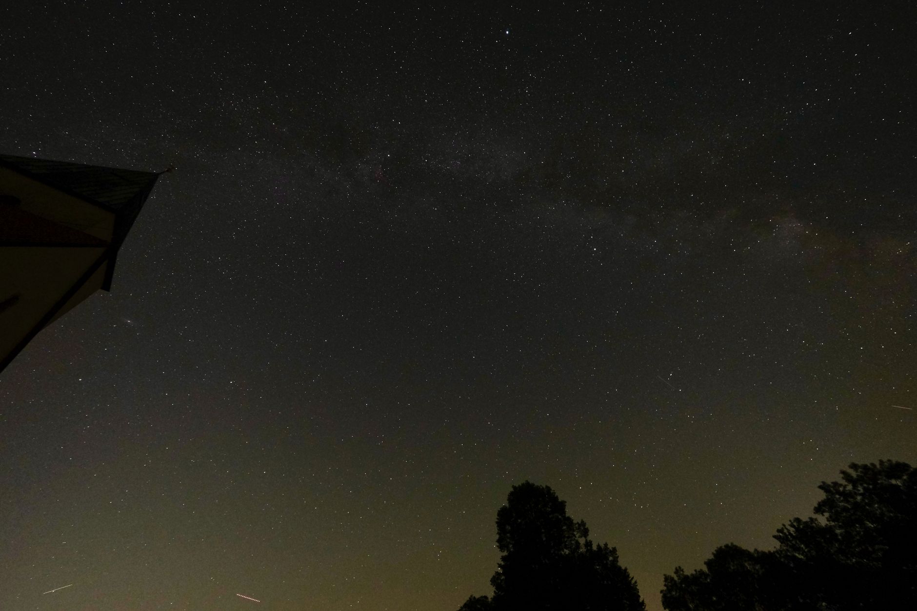 A stunning view of the starry night sky showcasing the Milky Way above silhouettes of trees.