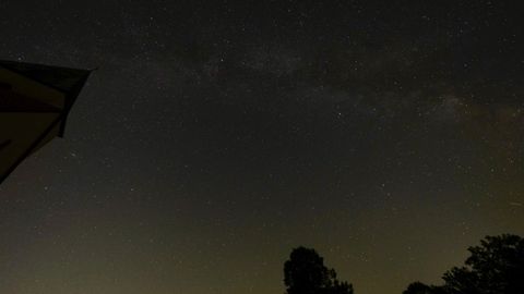 A stunning view of the starry night sky showcasing the Milky Way above silhouettes of trees.