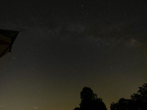 A stunning view of the starry night sky showcasing the Milky Way above silhouettes of trees.