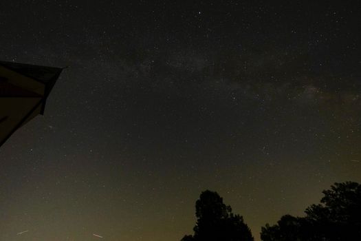 Przeznaczenie: czy naprawdę jest zapisane w gwiazdach? 5 perspektyw 17 A stunning view of the starry night sky showcasing the Milky Way above silhouettes of trees.