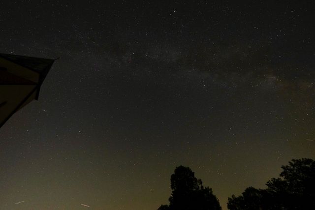 The Milky Way over a treeline at night — photo by Jozef Papp on Pexels