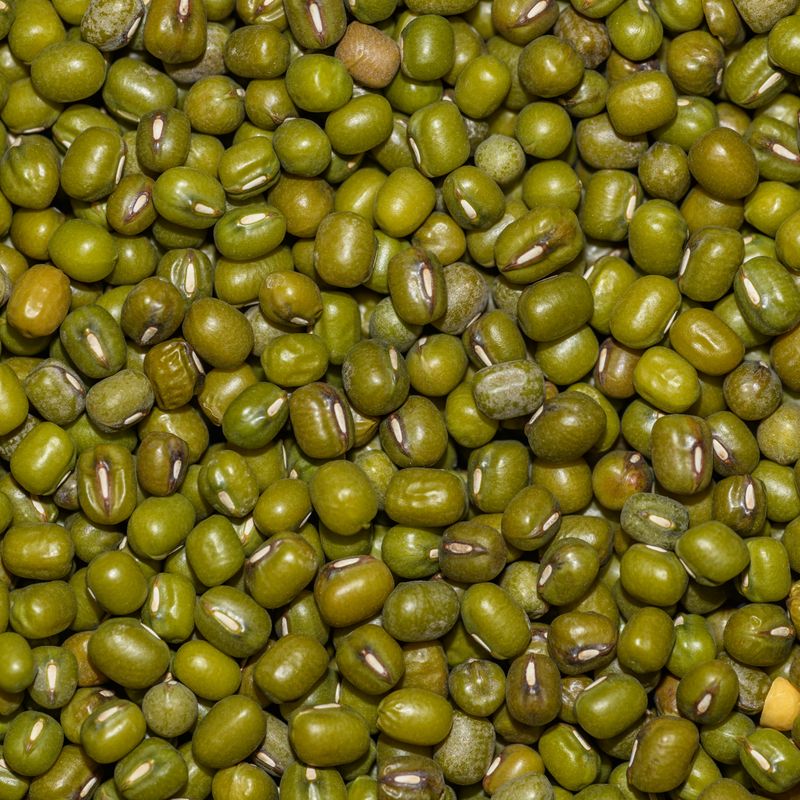 Afghan Mung Beans with Cilantro