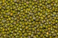 Close-Up Photo of a Pile of Green Mung Beans