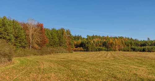 Scenic Autumn Landscape