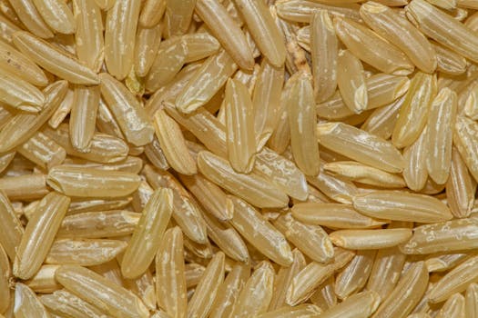 Detailed macro shot of uncooked brown rice grains, showcasing texture and natural color.