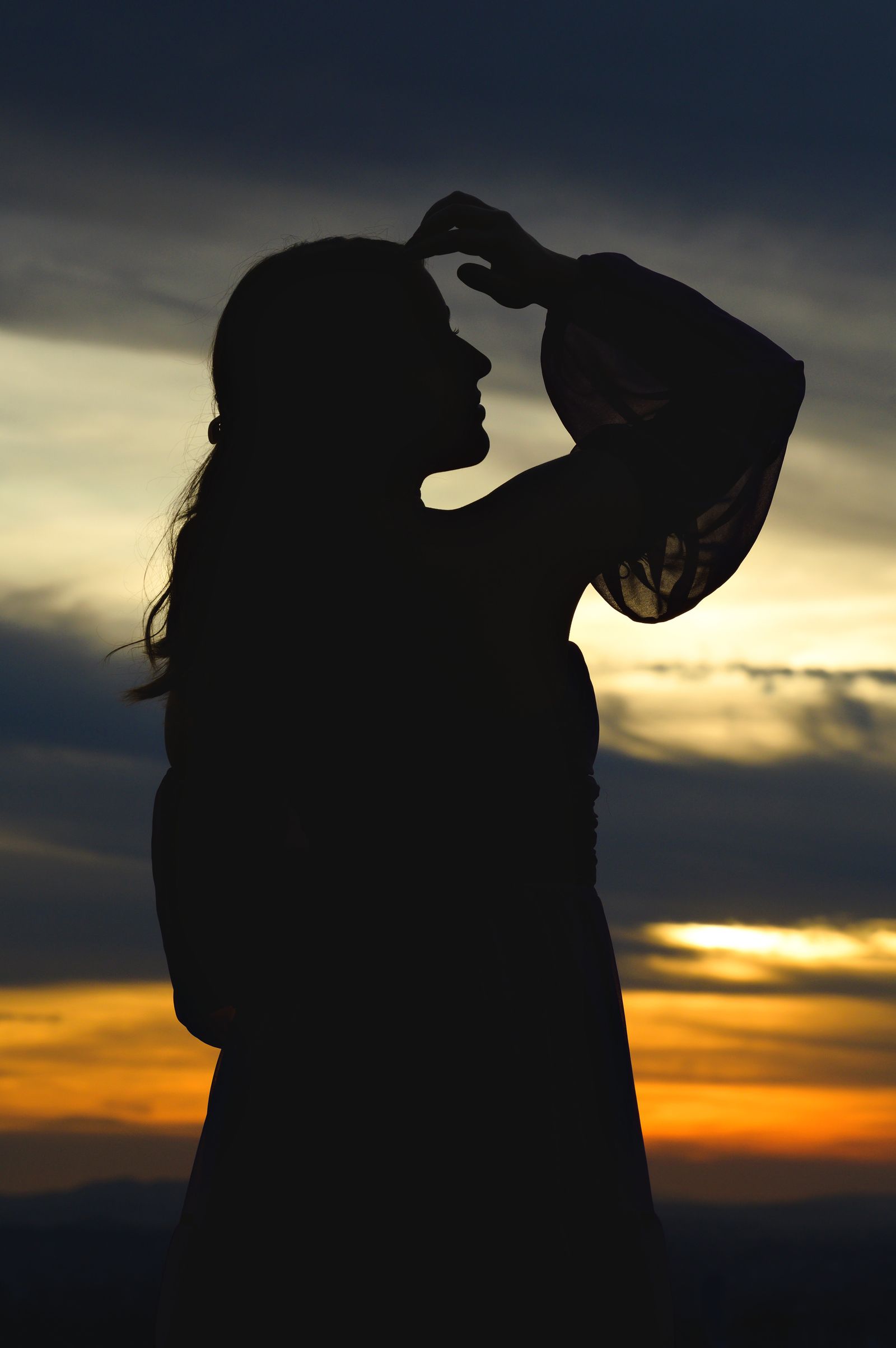 Silhouette of a Woman Raising her Arm · Free Stock Photo