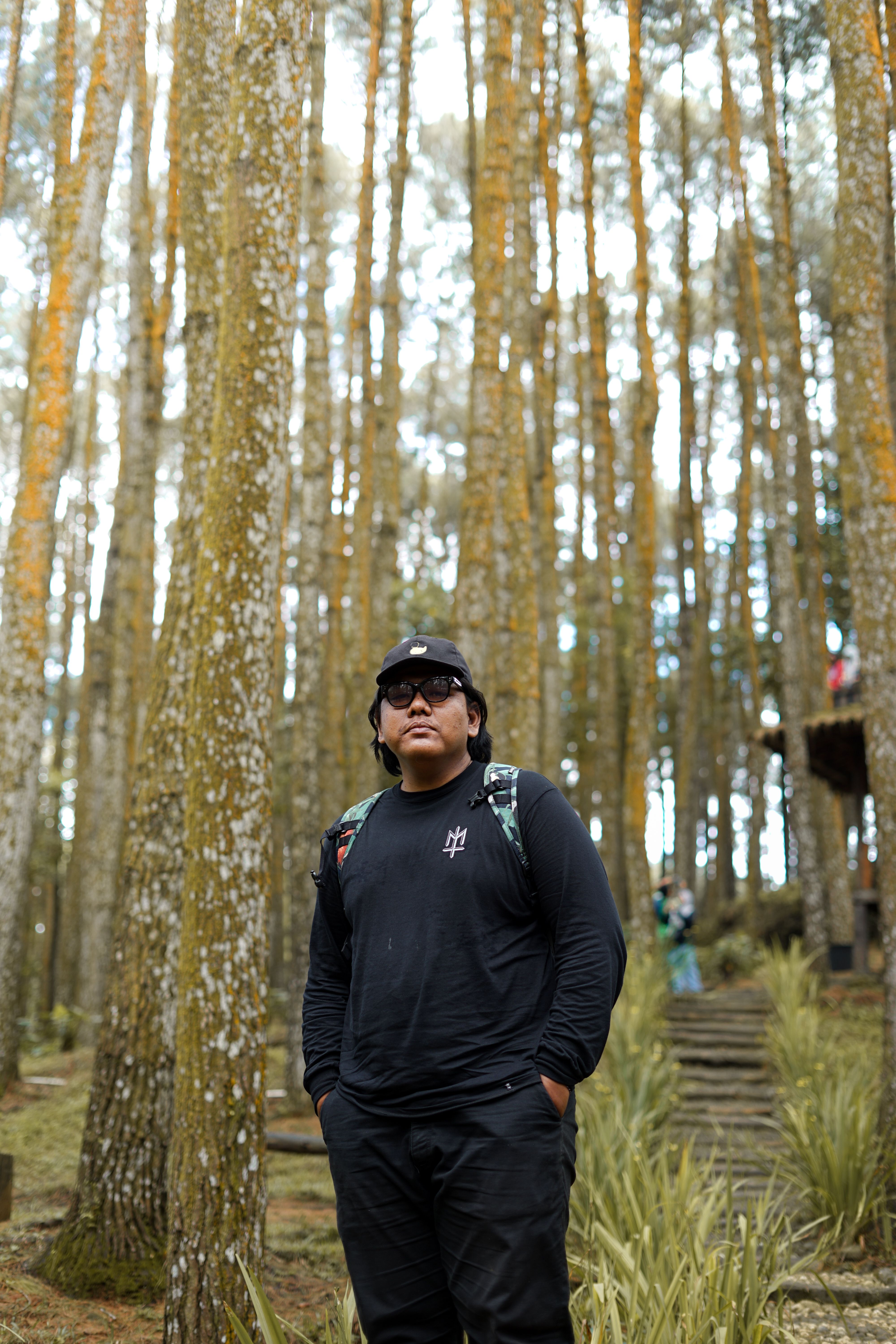 a man among the pine trees · Free Stock Photo