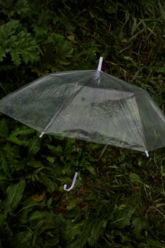 A transparent umbrella resting on lush green grass during a rainy day.