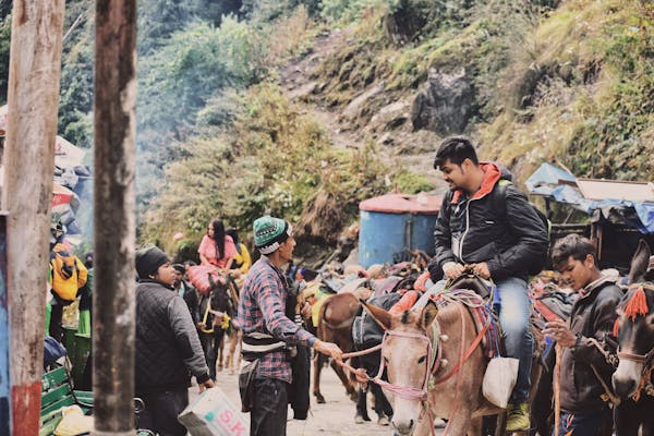 Kedarnath