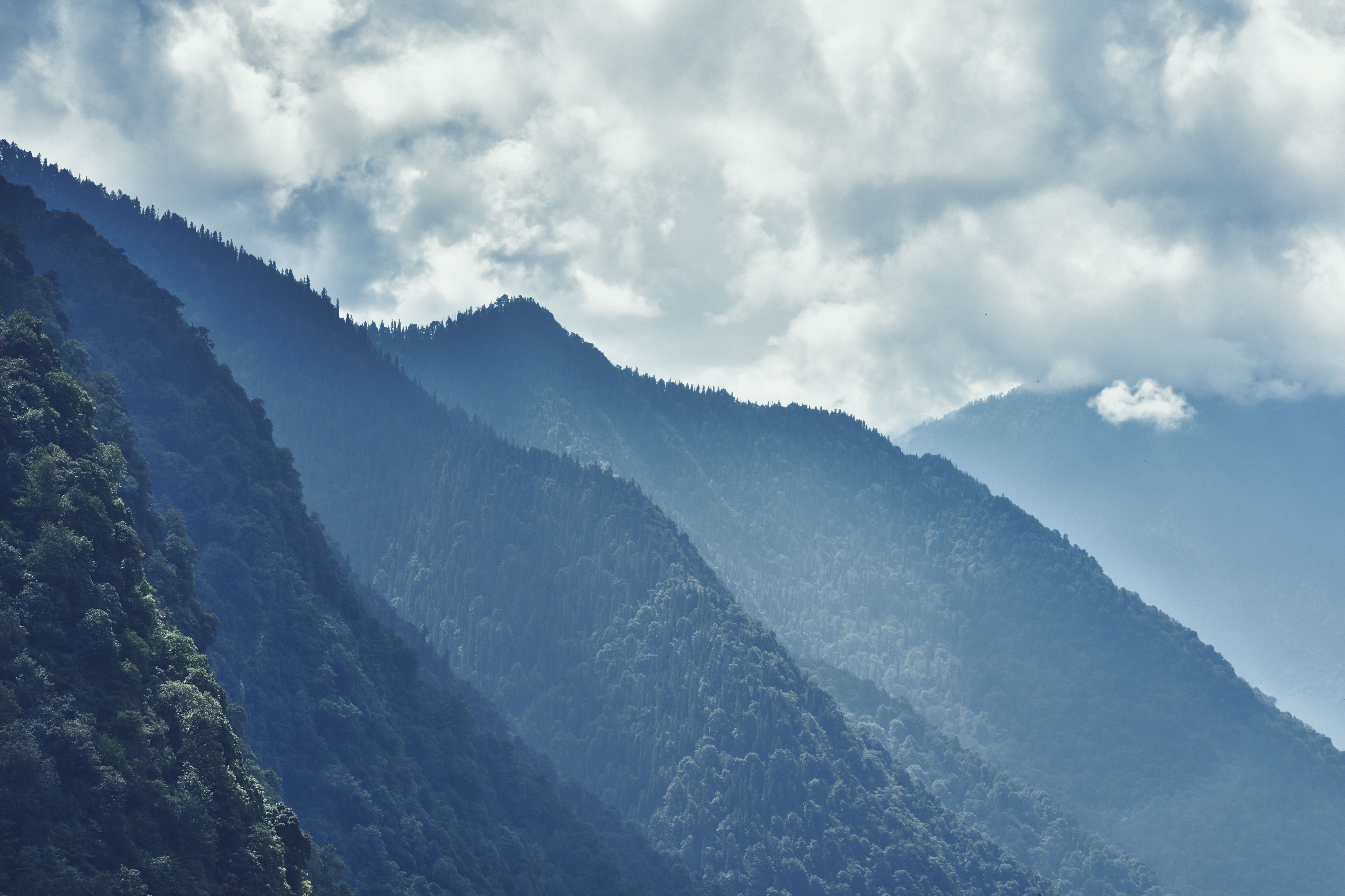 Stunning view of Kedarnath's forested mountain ranges under cloudy skies, showcasing natural beauty.
