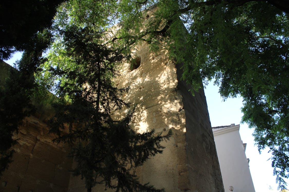 muralla urbana de Jerez de la Frontera