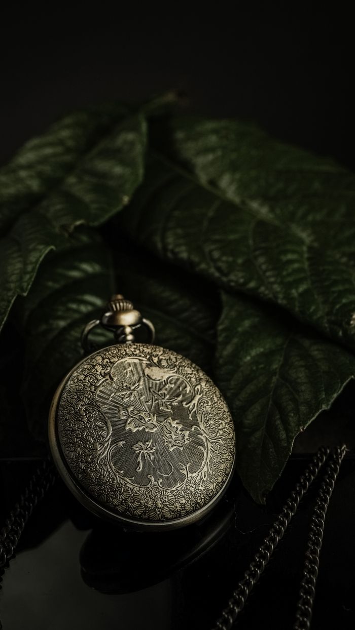 Engine-turned antique pocket watch case resting on leaves — Ömer BÜLBÜL on Pexels