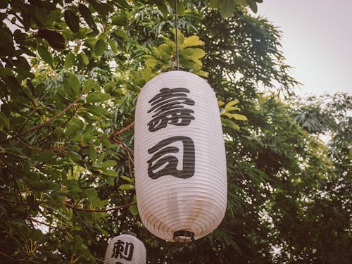 White Lanterns with Japanese Signs Hanging on a Tree 