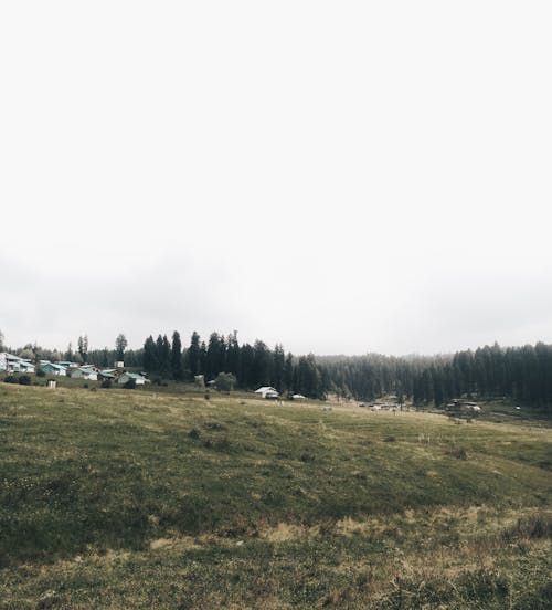 View of a Meadow, Houses and Trees under a Cloudy Sky 