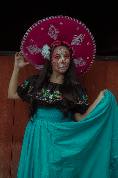 Free Woman dressed as Catrina for Dia de los Muertos in Mexico City, featuring traditional attire. Stock Photo