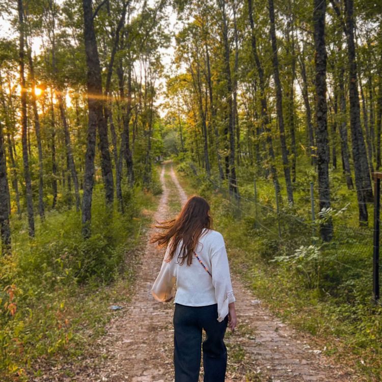 Back View of a Woman Walking on a Path in a Forest · Free Stock Photo