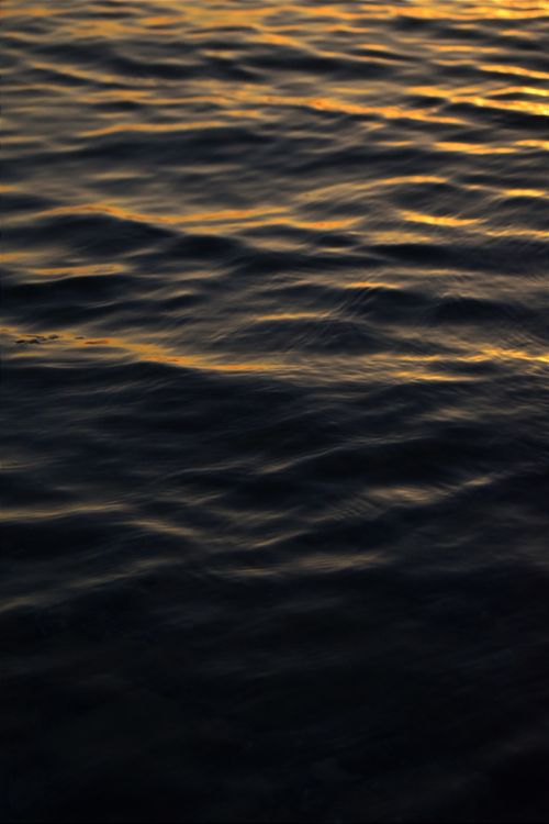 Free Waves reflecting the soft glow of sunset, creating a peaceful seascape mood. Stock Photo