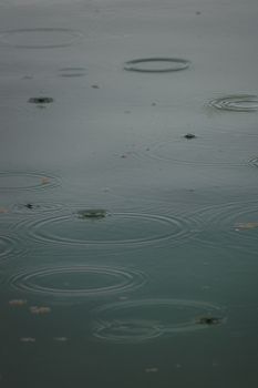 Tranquil image of raindrops causing ripples on a water surface, reflecting a moody atmosphere.