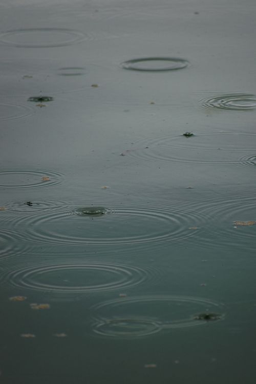 Free Tranquil image of raindrops causing ripples on a water surface, reflecting a moody atmosphere. Stock Photo