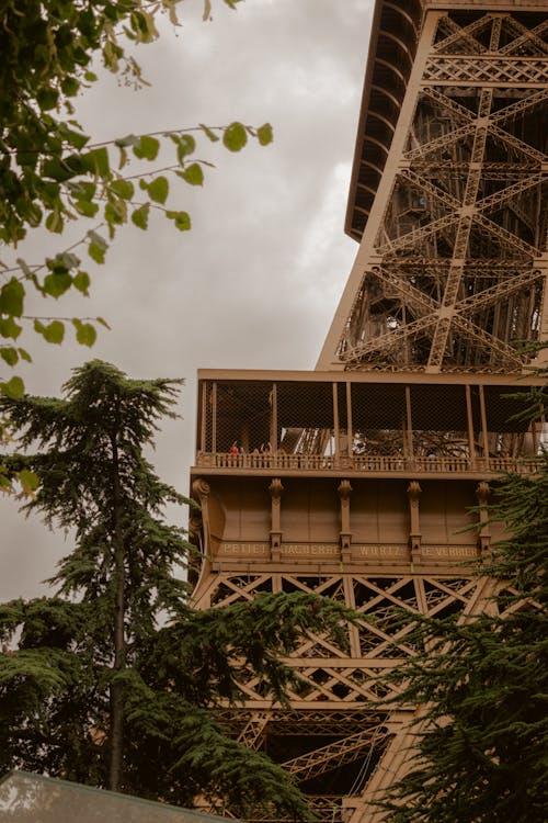 View of the Lower Part of the Eiffel Tower and Trees 