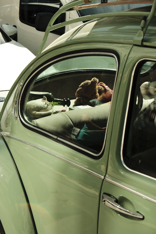 Δωρεάν στοκ φωτογραφιών με vintage, Volkswagen Beetle, αρκουδάκι Φωτογραφία από στοκ φωτογραφιών