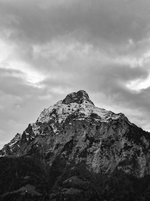 Imagine de stoc gratuită din alb-negru, erodate, fotografiere verticală