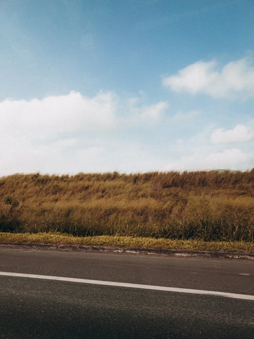 Photos gratuites de campagne, les herbes, plaines