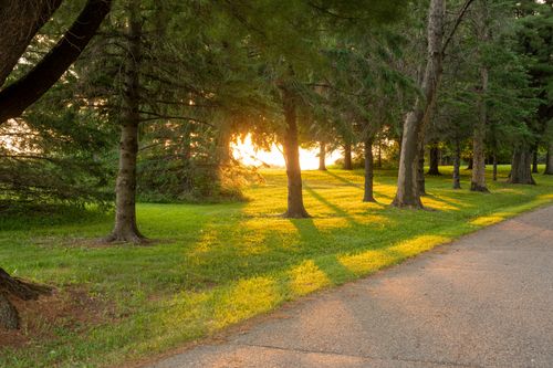 Free Sunlight peeking through the trees at sunset in a serene Lund, Wisconsin park. Stock Photo