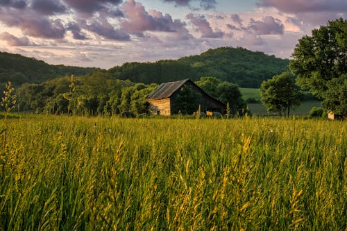Old Wooden Barn in the Countryside