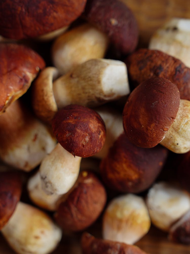 Pile Of Brown Mushrooms