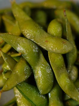 Delicious and healthy fresh edamame beans, close-up shot highlighting texture and greenness.