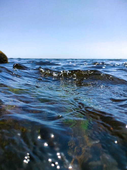 Fotos de stock gratuitas de agua, costa, de cerca