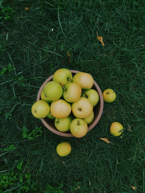 Kostnadsfri bild av äpplen, färsk, frukt