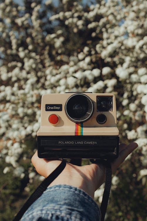 Hand Holding Polaroid Camera