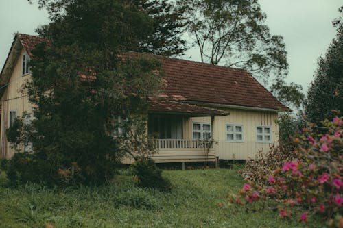 Gratis stockfoto met boom, dorp, dorpen